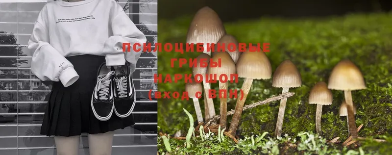 Галлюциногенные грибы MAGIC MUSHROOMS  кракен ССЫЛКА  Приморско-Ахтарск 